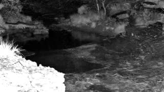 Still 1 from this detection