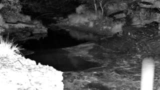 Still 1 from this detection