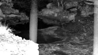 Still 1 from this detection
