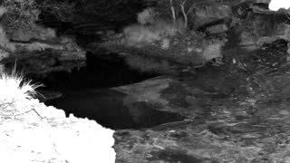 Still 1 from this detection