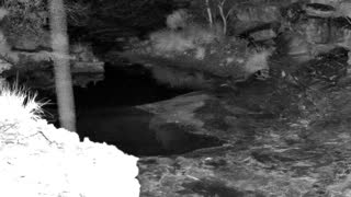 Still 1 from this detection