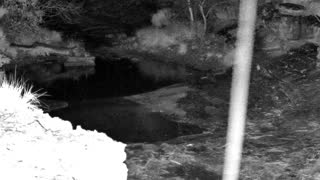 Still 1 from this detection