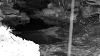 Still 1 from this detection