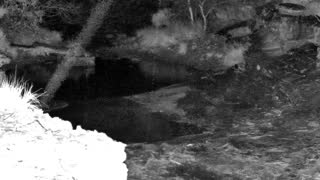 Still 1 from this detection