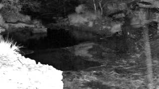 Still 1 from this detection