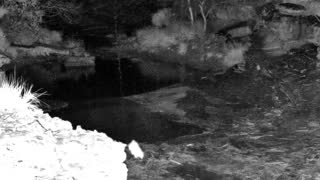 Still 1 from this detection