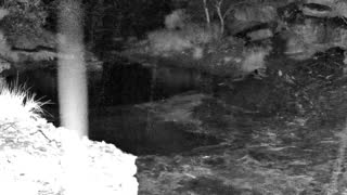 Still 1 from this detection