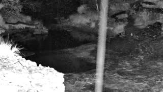 Still 1 from this detection