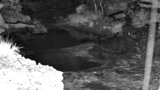 Still 1 from this detection