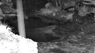 Still 1 from this detection