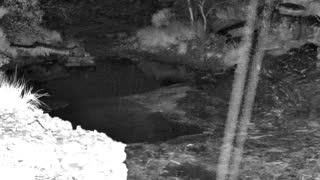 Still 1 from this detection