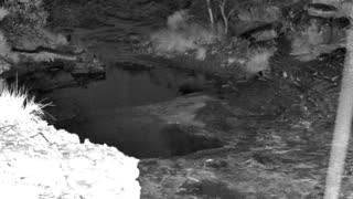 Still 1 from this detection
