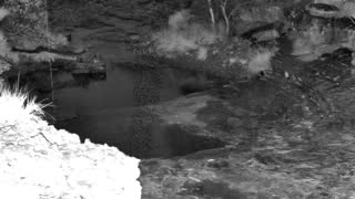 Still 1 from this detection