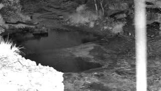 Still 1 from this detection
