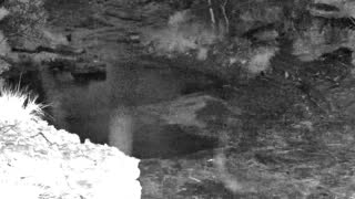 Still 1 from this detection