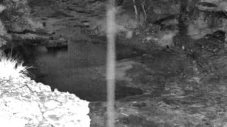 Still 1 from this detection