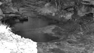 Still 1 from this detection
