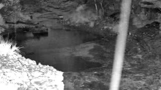Still 1 from this detection