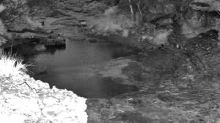 Still 1 from this detection