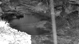 Still 1 from this detection