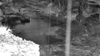 Still 1 from this detection