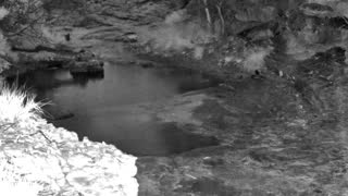 Still 1 from this detection