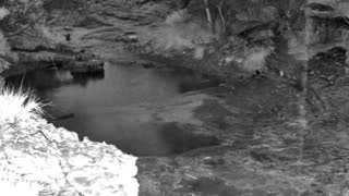 Still 1 from this detection