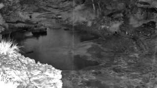 Still 1 from this detection
