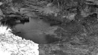 Still 1 from this detection