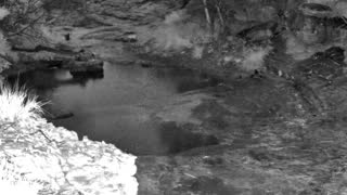 Still 1 from this detection