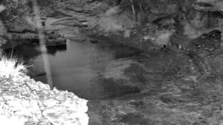Still 1 from this detection