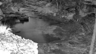 Still 1 from this detection