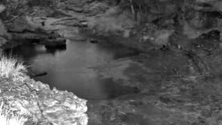 Still 1 from this detection