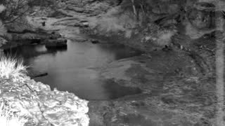 Still 1 from this detection