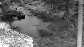 Still 1 from this detection