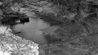 Still 1 from this detection