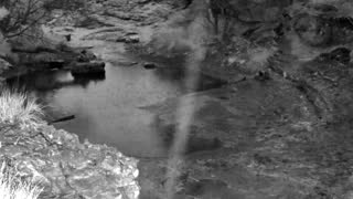 Still 1 from this detection