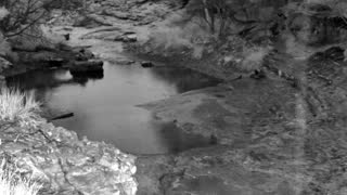 Still 1 from this detection