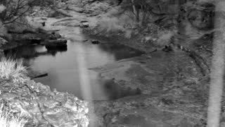 Still 1 from this detection