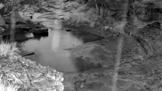 Still 1 from this detection