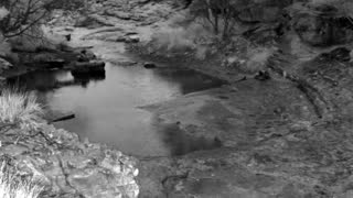 Still 1 from this detection