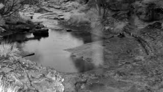 Still 1 from this detection