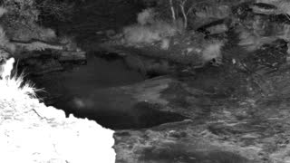 Still 1 from this detection