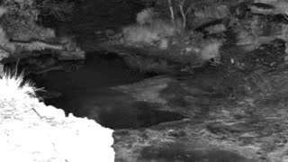 Still 1 from this detection