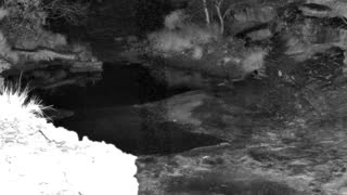 Still 1 from this detection