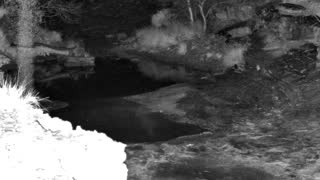 Still 1 from this detection