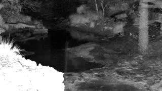 Still 1 from this detection