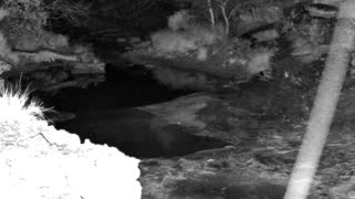 Still 1 from this detection