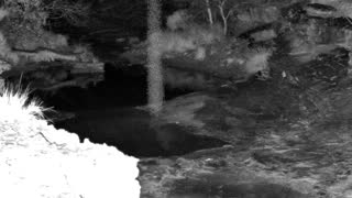 Still 1 from this detection