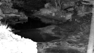 Still 1 from this detection